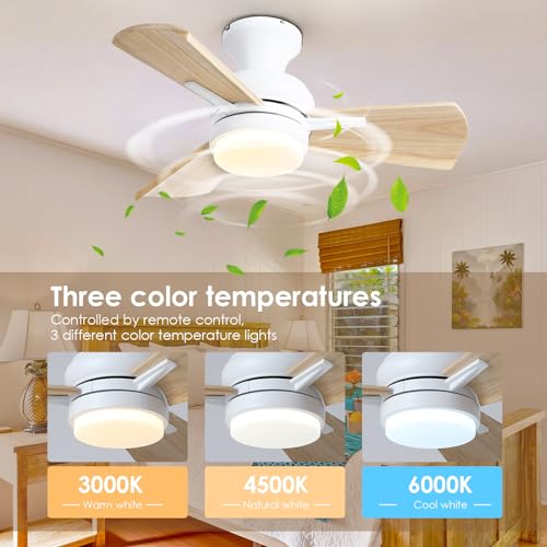 Mpayel 30" Small Ceiling Fan with Light - Wood Flush Mount Ceiling Fan with Dimming and Memory Function, Noiseless DC Motor, Farmhouse Ceiling Fans for Indoor, Bedroom, Kitchen - White - WoodArtSupply