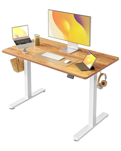 FEZIBO Electric Standing Desk Height Adjustable, 40 x 24 Inches Sit Stand up Desk, Home Office Computer Desk Rising Memory Presets (Light Rustic) FEZIBO