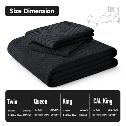 Lavsiry Black Quilt Queen Size with Striped Pattern, Lightweight Soft Summer Thin Microfiber Bedspread & Coverlet Bedding Set for All Seasons - 3 Piece(1 Quilt, 2 Pillow Shams) Lavsiry