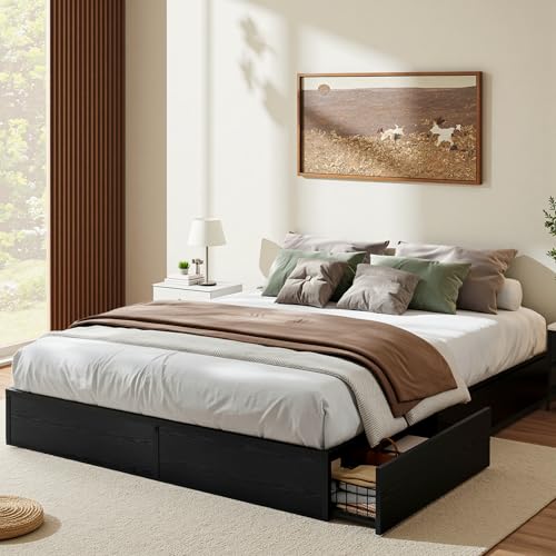 Allewie Full Size Metal Bed Frame with 2 Storage Drawers, Heavy-Duty Steel Frame with MDF Wood Panels, Flexible Drawer Placement, Easy Assembly, Noise-Free Support, Black Allewie