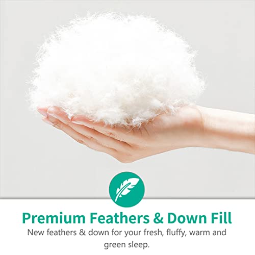 APSMILE Luxury All Season Down Feather Fibers Comforter Full/Queen Size Duvet Insert - 100% Organic Cotton, High Fill Power Medium Warmth, (Ivory White, 90X90) APSMILE