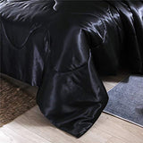 NTBED Silky Satin Comforter Set Queen Black, Soft Lightweight Microfiber Luxury Sexy Quilted Bedding Sets with 2 Matching Pillow Covers for Summer Spring Autumn NTBED