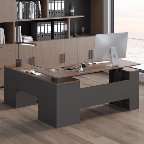 JOMEED 63" L Shaped Electric Standing Desk with Storage, Executive Adjustable Height with Power Outlets and Privacy Panel,Brown and Black JOMEED