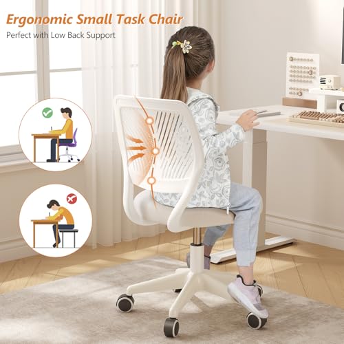 SJZNOI Armless Desk Chair Swivel Office Rolling Chair with Soft Padded Cushion, Height Adjustable Small Task Chair, Ergonomic Study Computer Chair for Kids Girls Boys Teens (White, 1PC) SJZNOI