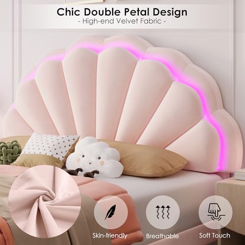 HIFIT Velvet Queen Smart LED Bed Frame with Storage Drawers & Adjustable Petal Headboard HIFIT