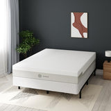 ZINUS Edgar 8 Inch Bamboo Box Spring, Mattress Foundation, Sturdy Bamboo Structure, Low Profile, Easy Assembly, Full Zinus