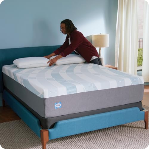 Sealy Dreamlife 14” Foam Mattress-in-a-Box, Twin XL SEALY