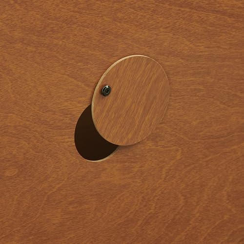 Crosley Furniture Dempsey Record Player Cabinet Vinyl Storage and Display Mid-Century Modern Turntable Stand, Walnut Crosley Furniture