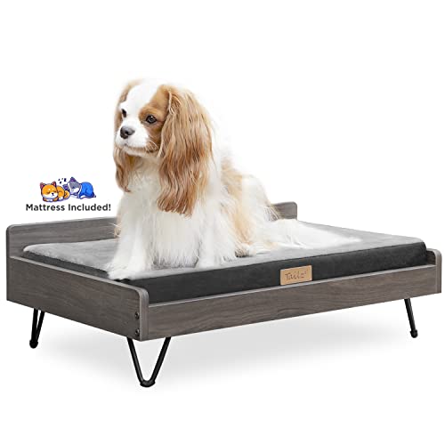 TailZzz Wooden Dog Bed and Dog Couch with Water-Resistant and Calming Mattress, Small to Medium Elevated Pet Bed, Greenguard Gold Certified, Dog Beds & Furniture, Chase TailZzz