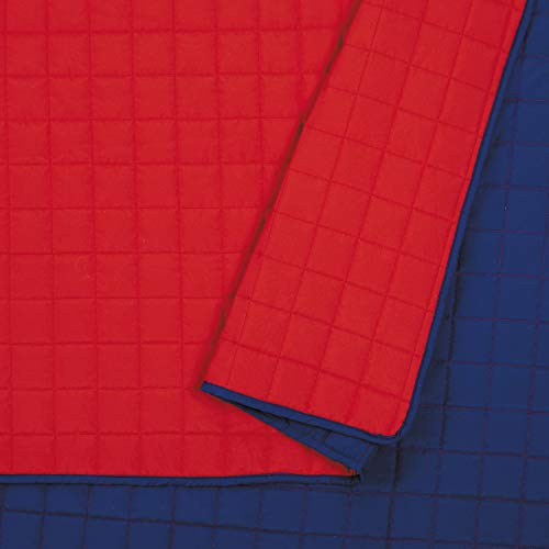 URBAN PLAYGROUND All Seasons Ayer Red Quilt Set - 2 Piece Soft Brushed Microfiber Kids Bedding Set for Boys/Girls - Machine Washable (Twin) URBAN PLAYGROUND