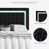 SHA CERLIN Queen Size Velvet Bed Frame with LED Light, Adjustable Vertical Channel Tufted Headboard, Strong Wooden Slats Support, Noise-Free, No Box Spring Needed, Black SHA CERLIN