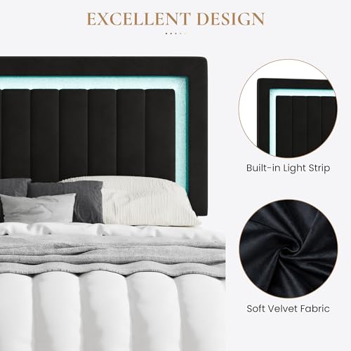 SHA CERLIN King Size Velvet Bed Frame with LED Light, Adjustable Vertical Channel Tufted Headboard, Strong Wooden Slats Support, Noise-Free, No Box Spring Needed, Black SHA CERLIN