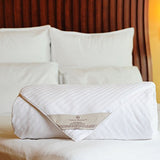 CUDDLE DREAMS Silk Comforter for Spring/Summer/Fall, 100% Long-Strand Silk Filling, Natural & Breathable (Twin Size) CUDDLE DREAMS