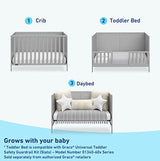 Graco Theo 3-in-1 Convertible Crib (Pebble Gray) - GREENGUARD Gold Certified, Converts to Toddler Bed & Daybed, Fits Standard Full-Size Crib Mattress, 4 Adjustable Mattress Heights Graco