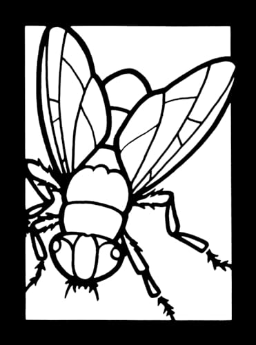 Insects Mini Stained Glass Coloring Book (Dover Little Activity Books: Insects) Dover Publications