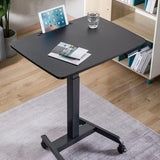 Desky Single Sit Stand Pedestal Desk, 23.6"x23.6", Electric Height Adjustable Small Desk with Single Motor, Memory Presets & Anti-Collision, Compact Ergonomic Workstation (Black Frame & Top) Desky
