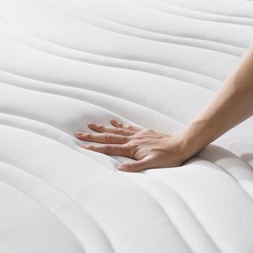 ZINUS 10 Inch Spring Sensation Hybrid Mattress [New Version], Queen, Fiberglass Free, Medium Firmness, Durable Support, Certified Safe Foams & Fabric, Mattress in A Box ZINUS