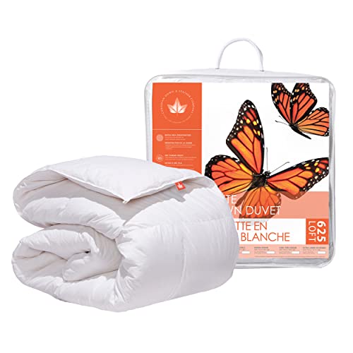 Canadian Down & Feather Co. - All Season Weight 625 Loft White Down Duvet King Size - 360 TC Shell 100% Cotton - Filled in Canada Canadian Down & Feather Company