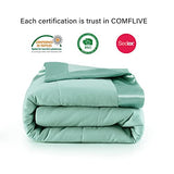 COMFLIVE Queen Blanket with Satin Trim, Bed Blanket for All Seasons - Winter Summer Comfort Soft (Green, Full/Queen) COMFLIVE