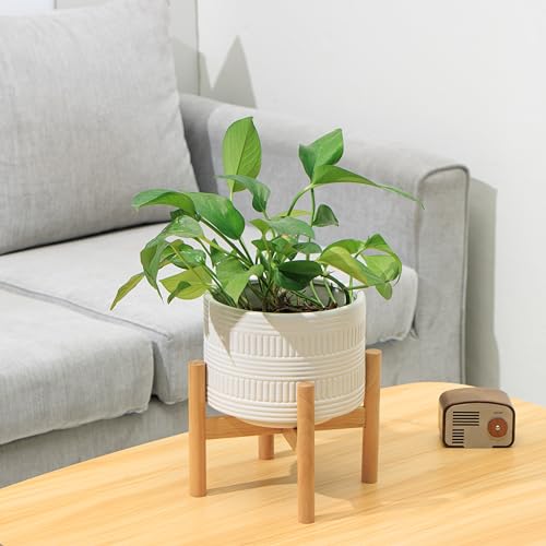 Kurrajong Farmhouse White Plant Pot with Stand | 7.25" Ceramic Planter Pot with Wood Stand for Indoors | Bamboo Plant Stand with Pot. Plant not Included | White Planter Pot is 7.25" Wide x 5.75" high