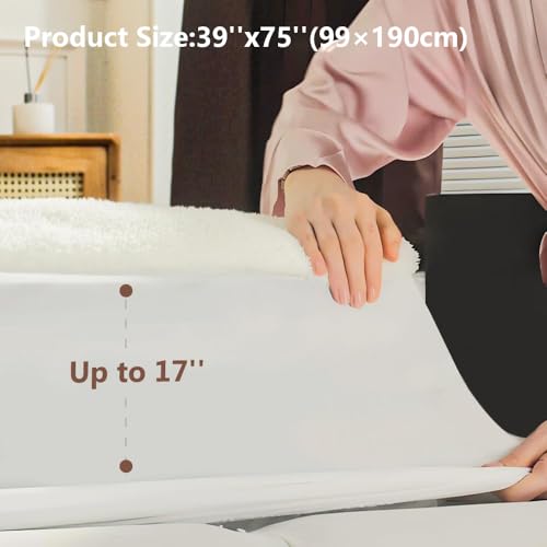 Templewet Heated Mattress Pad Twin Size - Single Control Electric Mattress Pad with 4 Heat Settings & 10 Hour Auto Off,Bed Warmer Mattress Cover 15" Deep Pocket,Machine Washable(White-Sherpa) Templewet