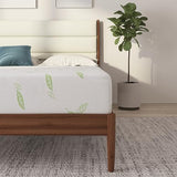 NapQueen Queen Size Mattress, 8 Inch Anula Green Tea Infused Memory Foam Mattress, Queen Size Mattress Bed in a Box, CertiPUR-US Certified Mattress NapQueen