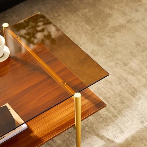 AGV LIGHTING 202206 Tadio Glass Coffee Table, Double Layer Coffee Table for Living Space, Gold Finish Frmae, Coffee Brown Glass Top & Walnut Brown Wood Top AGV LIGHTING