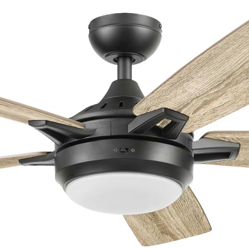 Prominence Home 51649-01 Lorelai Smart Ceiling Fan with Light and Remote, 52, Bronze Prominence Home