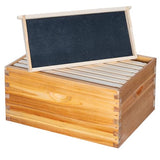 Honey Lake 8 Frame Bee Hive Box, Langstroth Deep Brood Honey Bee Box Dipped in 100% Beeswax for Beekeeper, Bee Hive Boxes with Frames and Waxed Foundations (Unassembled) Honey Lake