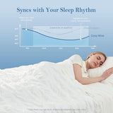 Cozy Bliss Cooling Comforter Seersucker Plaid Queen Size, Q-Max 0.45 Lightweight Cooling Blanket, Breathable Silk Smooth Summer Bedding Quilt for Hot Sleepers Night Sweats White Cozy Bliss