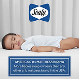 Sealy Baby Flex Cool Breathable 2 Stage Waterproof Crib Mattress plus Toddler Bed Fit, Airy Cotton Cover, 204 Premium Coils, GREENGUARD Gold Certified, Safety & Quality Tested, Made in USA, 52'X28' SEALY BABY