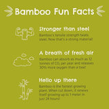 Munchkin® Bambou™ Suction Bowl and Silicone Spoon for Babies and Toddlers, Non-Toxic Bamboo Munchkin