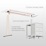 REAHOME Electric Standing Desk with Drawers, 55 x 24 Inches Height Adjustable Sit Stand Desk with Storage, 3 Memory Preset Home Office Computer Desk, Printer Cabinet, 2 Hooks, Cable Management, White REAHOME