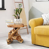 Warmaxx Natural Irregular Shape Tree Stump End Table Plant Stand 14"x13"x18"H Solid Cedar Wood Outdoor Rustic Sit Foot Stools Live Edge Coffee Side Table Living Room Bedroom Outdoor Garden Warmaxx