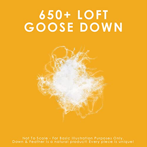 Canadian Down & Feather Co. - Regular Weight 650 Loft White Goose Down Duvet XL King Size - 360 TC Shell 100% Cotton - Filled in Canada Canadian Down & Feather Company