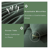 DOWNCOOL Twin Comforter Set -All Season Bedding Comforters Sets with 1 Pillow Case -2 Pieces Bed Set Down Alternative Comforter Set -Double Green Twin Bedding Sets(64"x88") DOWNCOOL