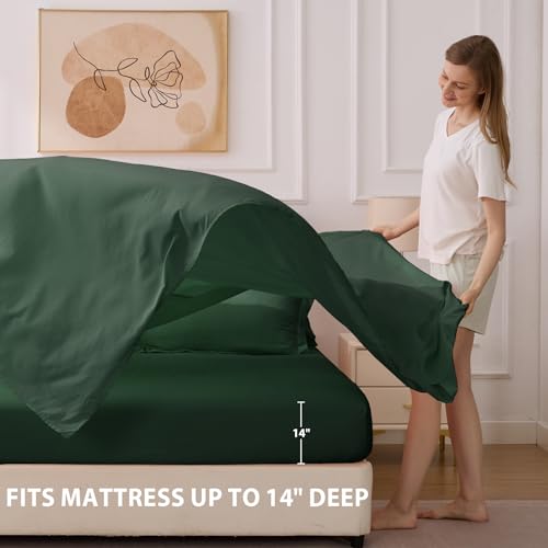Velorose Queen Comforter Set Emerald Green - Bed in a Bag Queen Size 7 Pieces, Soft Bedding Set for All Seasons, Christmas Premium Queen Comforter Set with Comforter, Sheets, Pillowcases & Shams Velorose