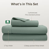California Design Den Twin XL Sheet Sets - Soft 400 Thread Count Sateen, Natural 100% Cotton Sheets Set with Deep Pockets, and Durable Bedding - Sage Green California Design Den