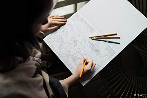 Disney Dreams Collection Thomas Kinkade Studios Disney Princess Coloring Poster Book Andrews McMeel Publishing