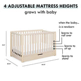 Carter's by DaVinci Colby 4-in-1 Convertible Crib with Trundle Drawer in Washed Natural, Greenguard Gold Certified, Undercrib Storage DaVinci