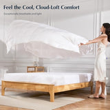Pacific Coast Lightweight Goose Feather Down Fiber Comforters King Size, Summer Duvet Insert, Ultra Soft, Breathable, Hotel Luxury Bedding Comforter with 8 Tabs, White, 106 x 90 inches Pacific Coast