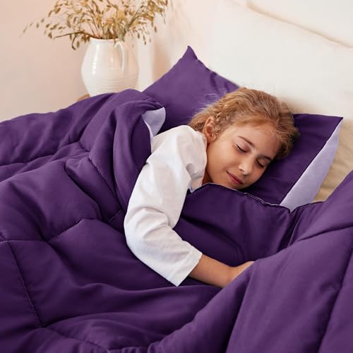 Exclusivo Mezcla Lightweight Reversible Twin Size Comforter Set, Down Alternative Comforter with 1 Pillow Sham, Twin Size Bedding Set for All Seasons, Deep Purple/Lilac Exclusivo Mezcla