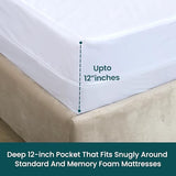 Zippered Mattress Encasement, Full Size Waterproof Mattress Protector, Breathable & Noiseless Absorbent 6-Sided Mattress Cover Cotton Passion