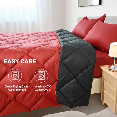 WQSPRING Queen Size Comforter Set, Reversible 3 Pieces Lightweight Soft Bedding Set for All Season, Premium Bed in a Bag Includes 1 Comforter (90"x90") and 2 Pillowcase (20"x26") WQSPRING