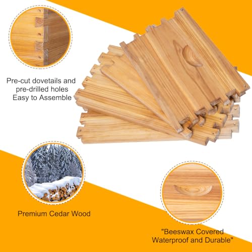 POLLIBEE 10 Frame Beehive Box, Langstoth Deep Brood Bee Hive Box, Bee Box Dipped in 100% Beeswax Includes Wooden Bee Frames & Waxed Foundations (Unassembled) POLLIBEE