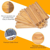 POLLIBEE 10 Frame Beehive Box, Langstoth Deep Brood Bee Hive Box, Bee Box Dipped in 100% Beeswax Includes Wooden Bee Frames & Waxed Foundations (Unassembled) POLLIBEE