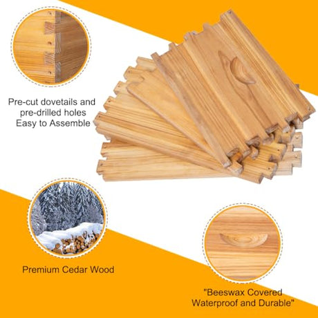POLLIBEE 10 Frame Beehive Box, Langstoth Deep Brood Bee Hive Box, Bee Box Dipped in 100% Beeswax Includes Wooden Bee Frames & Waxed Foundations (Unassembled) POLLIBEE