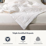 Delara Organic Merino Wool Duvet Insert - GOTS, Oeko-TEX & Woolmark Certified, 400TC Organic Cotton Shell, 200 GSM All-Season Warmth, Baffle Box Construction, Machine Washable - King Delara