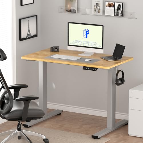 FLEXISPOT Height Adjustable Desk 48 x 30 inch Electric Standing Desk Whole-Piece Desk Board Stand Up Desk for Home Office (Gray Frame + 48" Natural Top) - WoodArtSupply