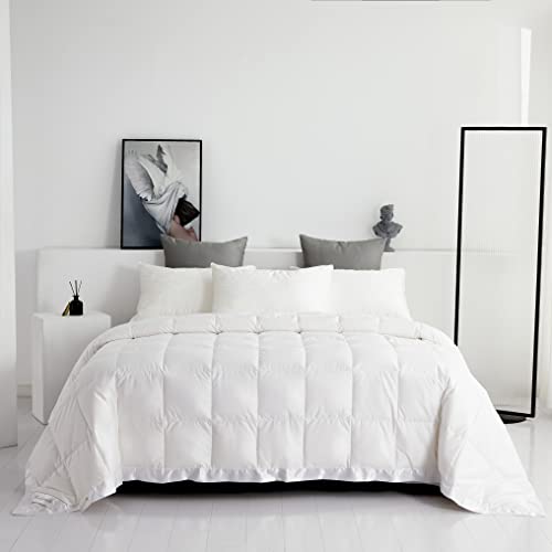 Lightweight Goose Down Comforter/Down Blanket/Duvet Insert for Summer/Warm Weather with Satin Trim, Noiseless & Extra Soft,White Full/Queen Size(90x90inch) Eastwarmth